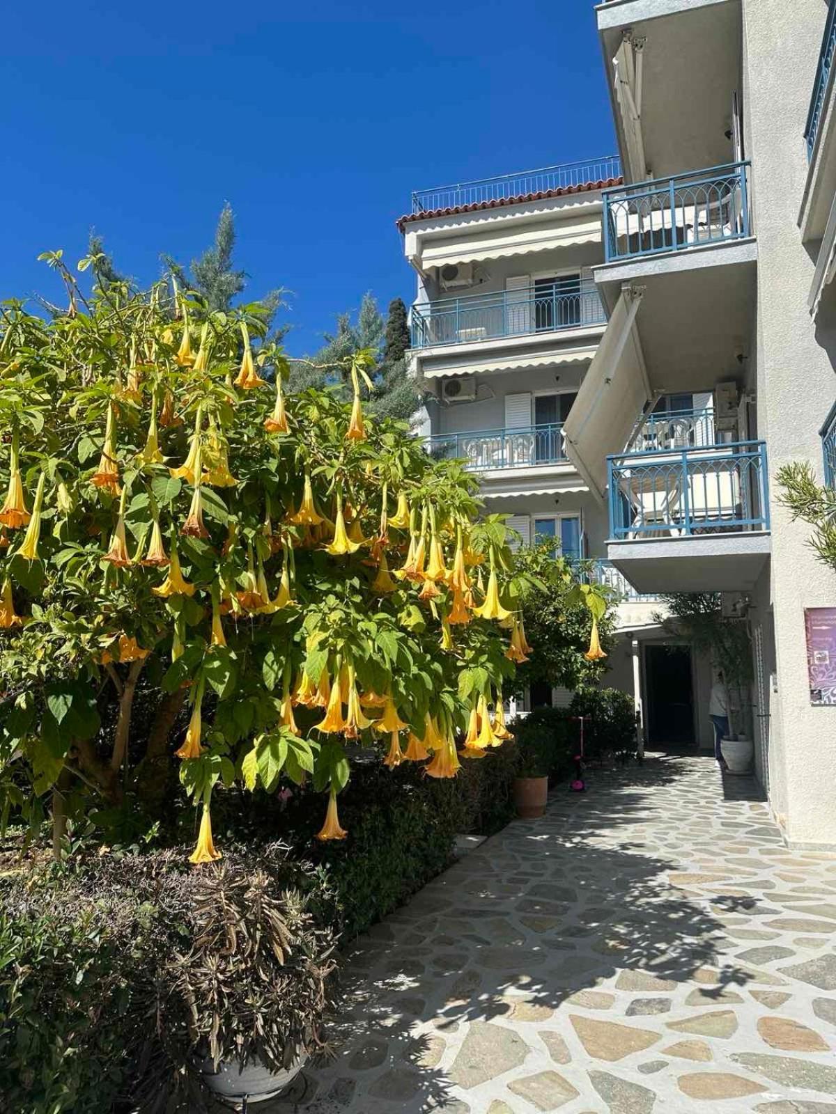 Drossinos Studios Poros Town Exterior photo
